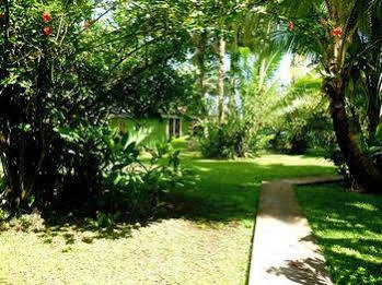 Bonjouir Lodge Paradise Teahupoo Eksteriør bilde
